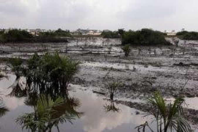 NUPRC links 66 per cent of 732 cases of oil spill in Niger Delta to asset sabotage, investigates 175 incidents