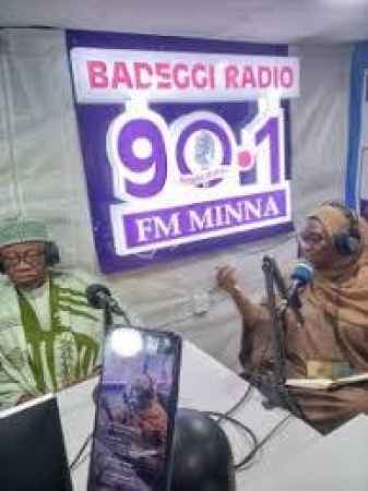 Badeggi FM: Some APC governors behaving like emperors ? ADC