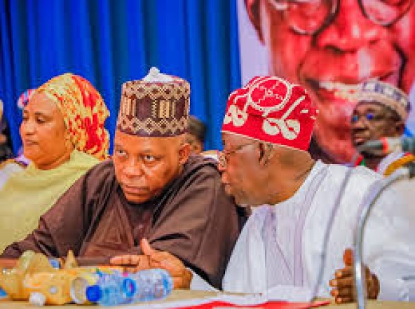 Fresh crisis brews in APC 