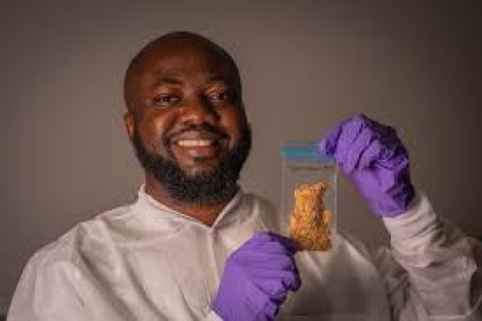 If egusi can reach space, so can young Nigerians ? Oniosun, the space scientist who sent seeds to ISS