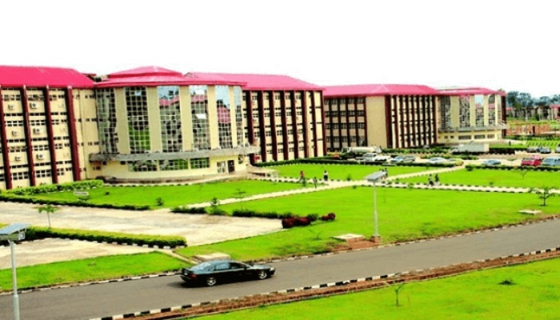 Why Nigeria?s conversion of polytechnics to varsities is dangerous