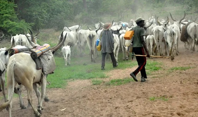 Fulani herder shot dead in Taraba