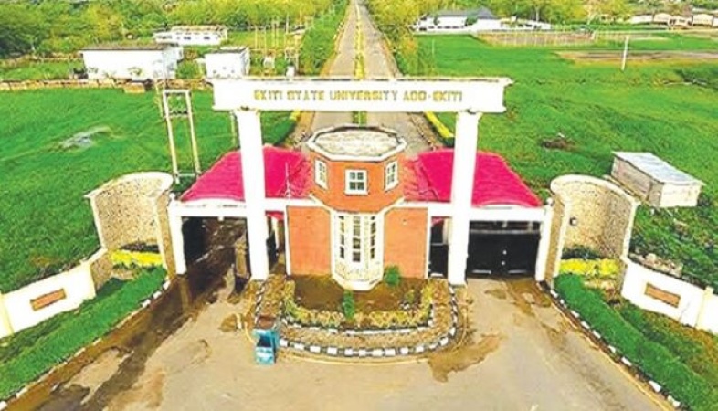 UK backs Nigeria?s varsity curriculum overhaul