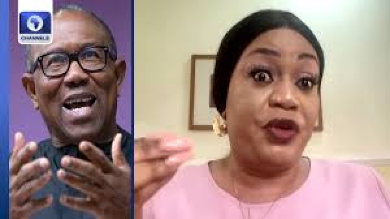 Peter Obi never spent Labour Party funds on 2023 Presidential Campaign ? Ex-Treasurer