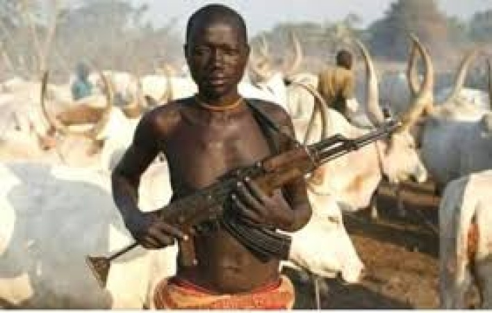 Suspected herdsmen gun down Police Inspector, civilian in Benue