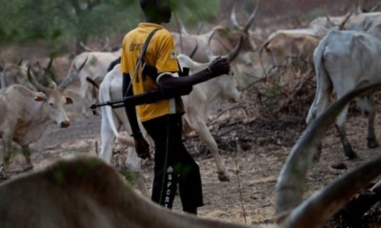 Five injured as herders, farmers clash in Kano