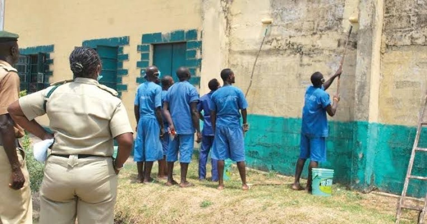 8,246 mentally ill inmates in custody nationwide ? NCoS