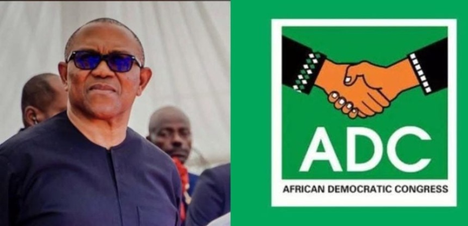 By-elections: Why I?m backing ADC candidate in Anambra ? Obi