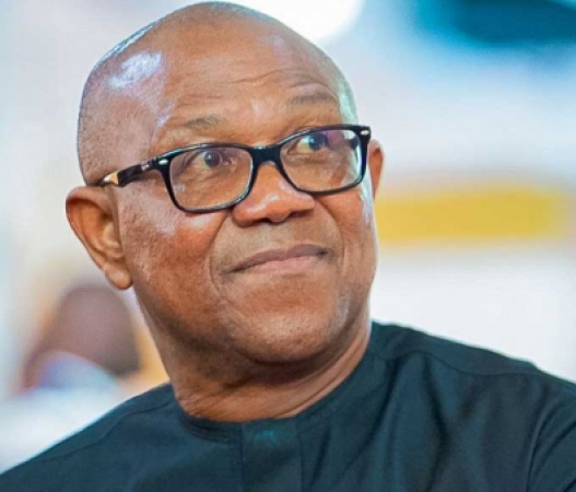 2027: Why Peter Obi will not get PDP, ADC, LP presidential ticket ? Presidency