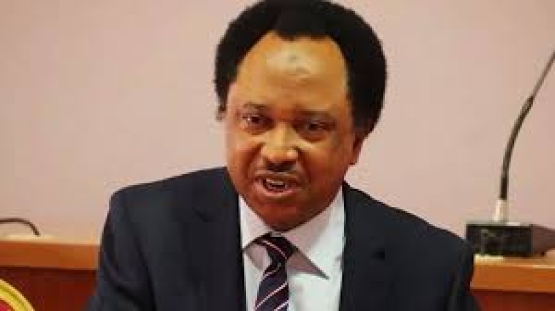 Why Jonathan should not contest in 2027 ? Shehu Sani