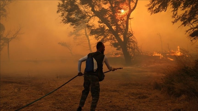 Wildfires spread across 5 Arab countries, causing heavy losses