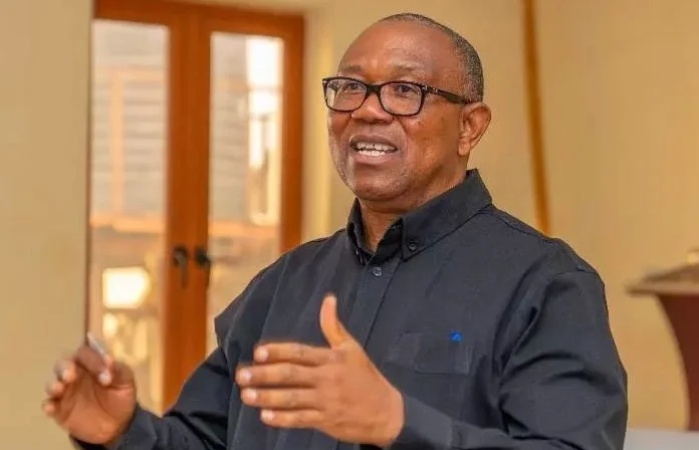 ?Misplaced Priority?, Peter Obi slams FG?s N142bn bus terminal project