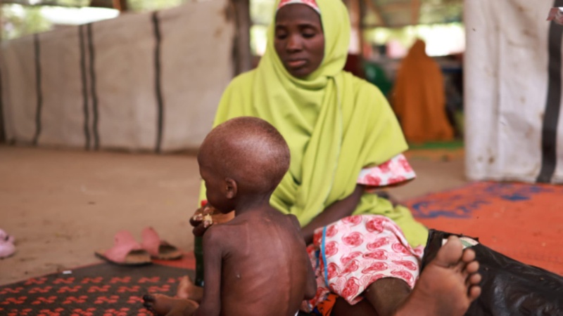 Nigeria loses over $1.5bn to malnutrition annually ? FG