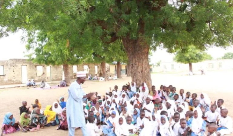 Pupils in Kano community forced to learn under trees as classrooms collapse
