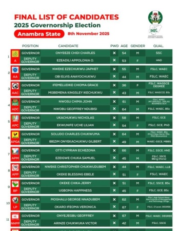 Anambra governorship poll: Stakeholders list seven dangerous councils