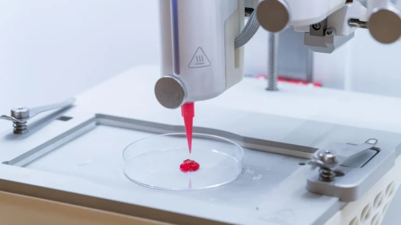 Researchers discover new way to heal burns without scars