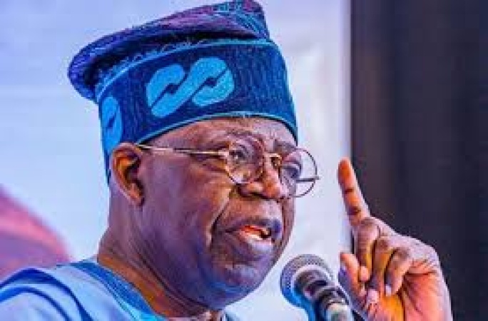 BREAKING: Tinubu orders temporary ban on export of raw shea nuts