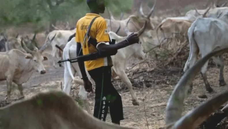 Plateau Killings: We?ve been unjustly labeled as aggressors ? Herders