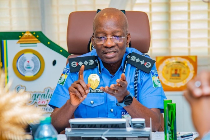 Terrorism, trafficking: IGP fingers cattle rustling