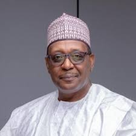 Medical tourism reversal masks crisis in Nigeria?s health sector