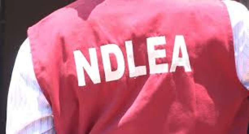 NDLEA intercepts 104,900 tramadol capsules bound for terrorists