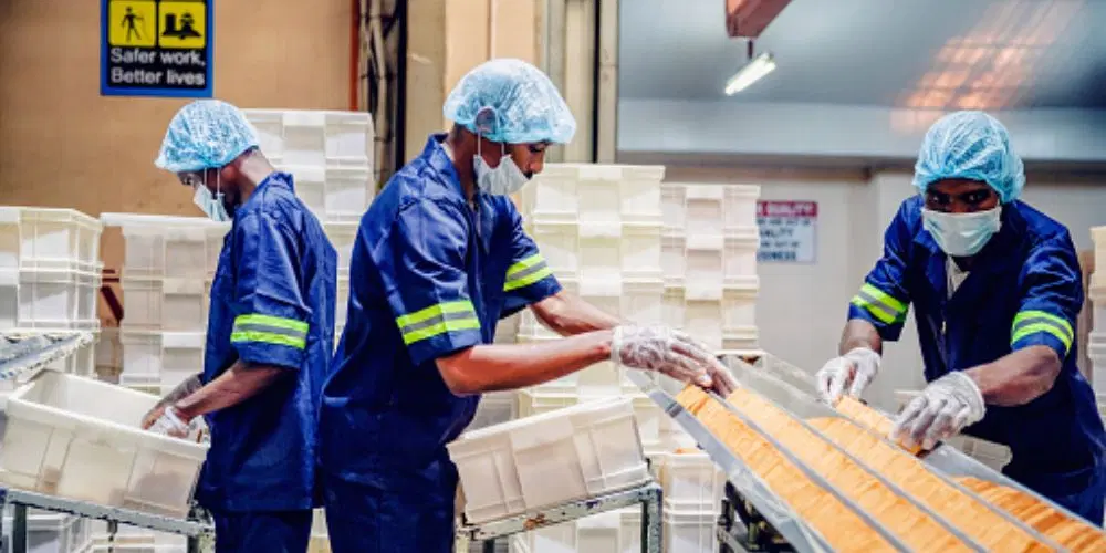Economy: Declining manufacturing, agric sectors threaten Nigeria?s industrialisation