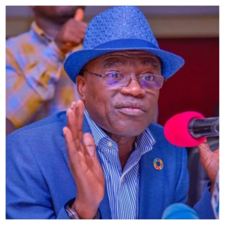 2027: I?m not searching for new deputy governor ? Alia