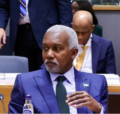Why Nigerian diplomatic missions abroad face financial constraints ? Minister