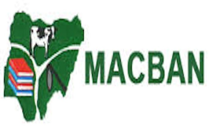 Benue MACBAN alleges killing of 70 cows