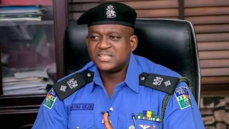 JUST IN: Force PRO Adejobi transferred to Delta State Command 