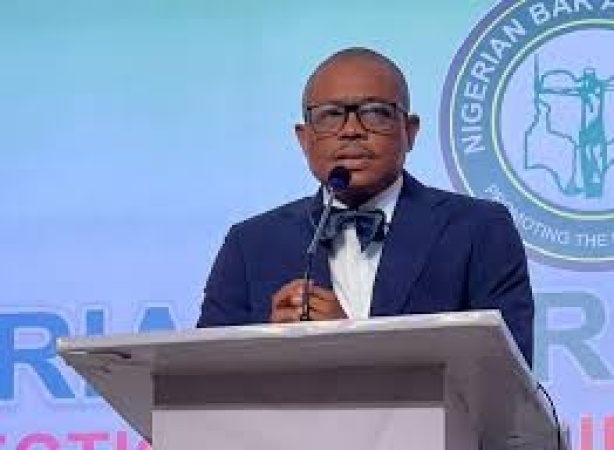 NBA sues over stalled promotion of police lawyers
