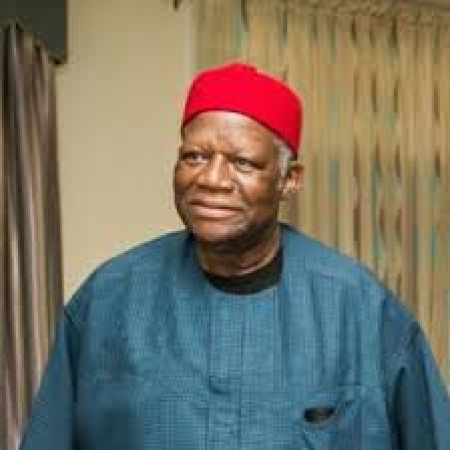 Nigeria needs new constitution, not amendment