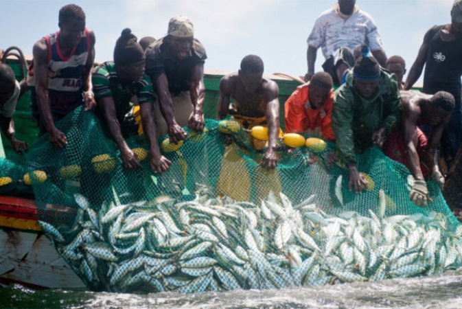 Fisheries operators pick holes in Marine and Blue Economy policy targets