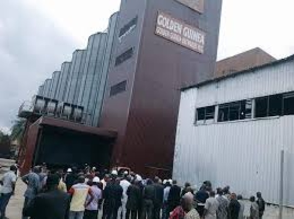 Golden Guinea breweries staff lament unpaid salaries