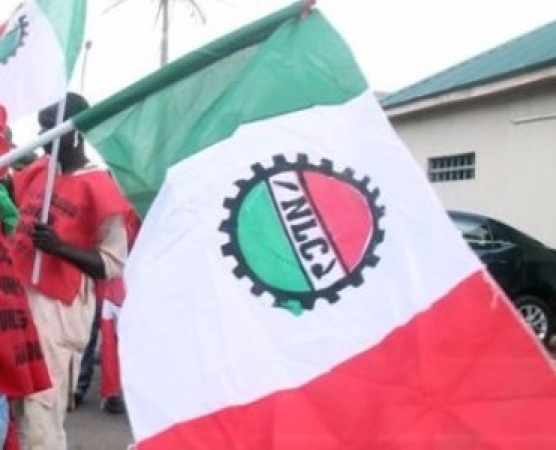 NLC as Senator Natasha's defender 
