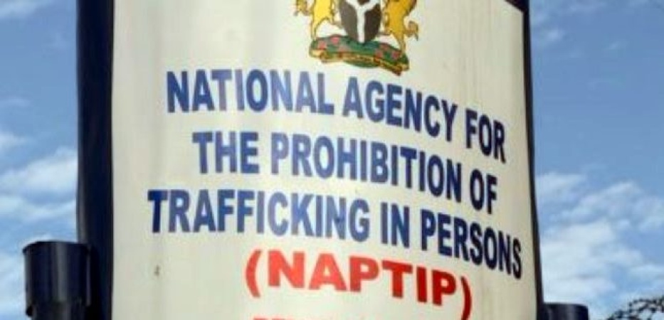 NAPTIP rescues eight ?stolen? kids from Asaba orphanage