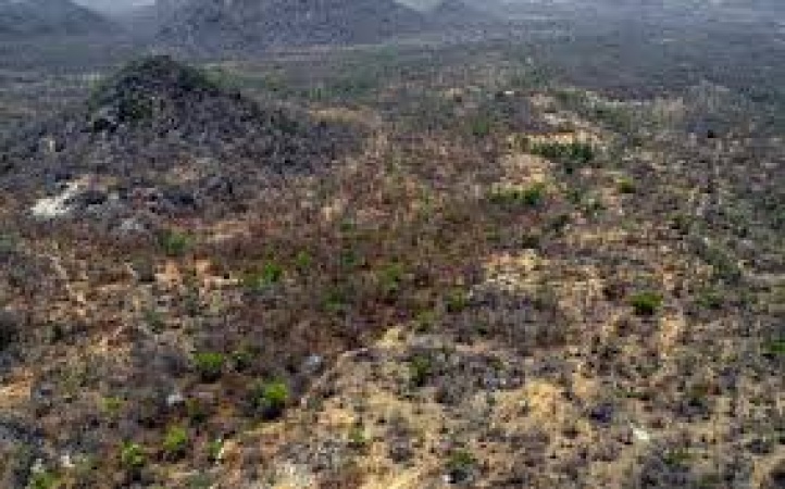 Courageous escape from Sambisa Forest: One woman?s journey of survival, resilience