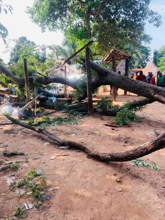 One killed, several injured as tree falls on Okada stand in Benue