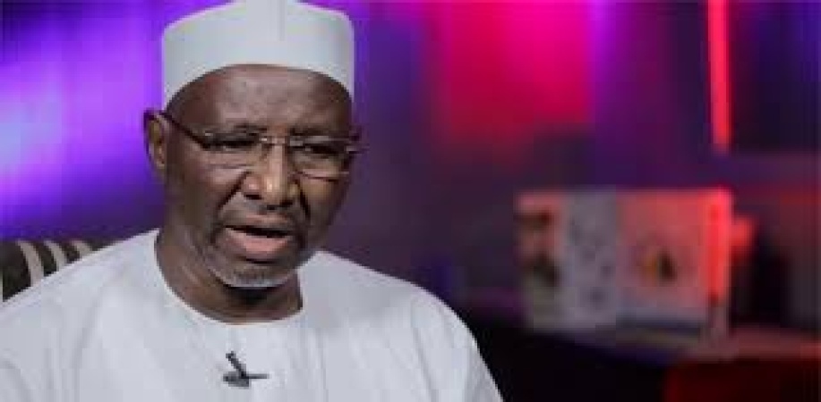 Usman Bugaje: INEC?s Credibility Is At Stake, Any Election Where President Appoints Chairman Is A Sham