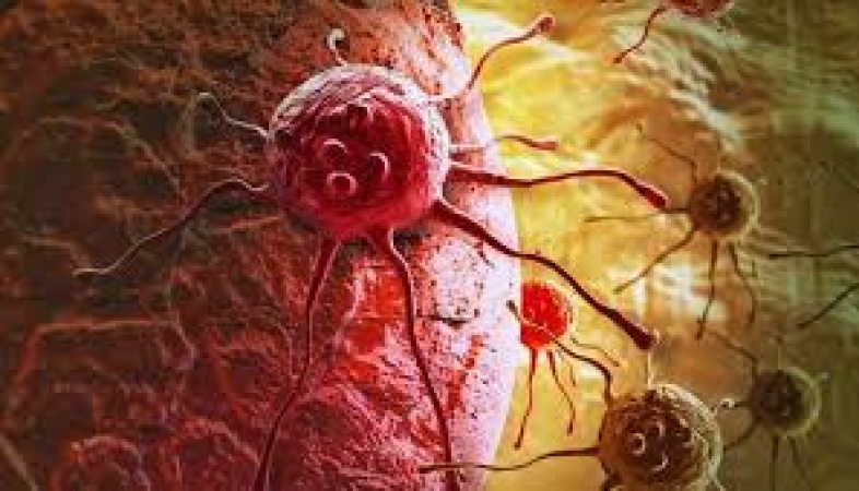 Global cancer toll to rise by 61 per cent in 2050 ? Report