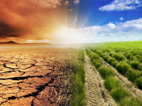 Unlocking Climate Finance: A lifeline for Nigeria?s states and businesses