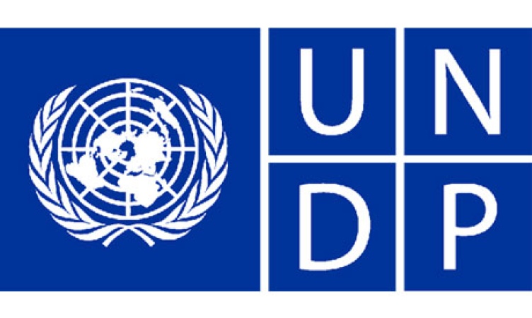 UNDP: Why African countries fail credit ratings