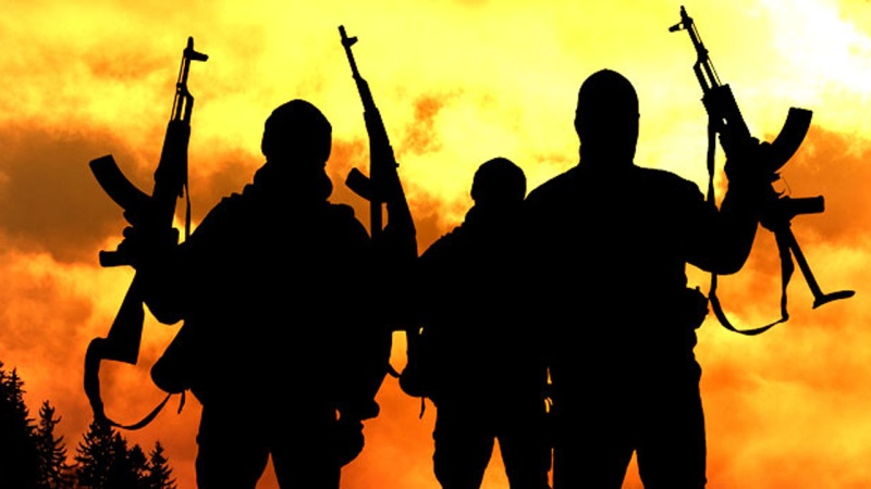 Gunmen attack policemen on patrol in Benue