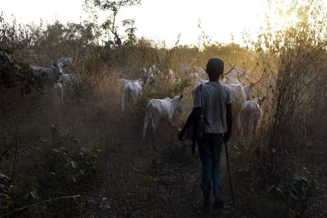 Two herders attacked, robbed in Taraba community