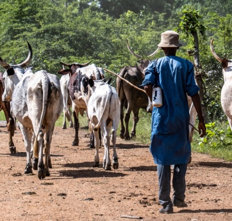 Herder kills colleague over N4,000