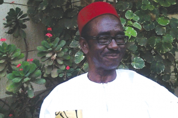 Nnamdi Kanu: Igbo leaders slam Onanuga, accuse Presidency of double standards