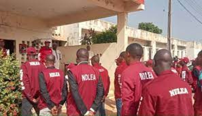 NDLEA?s bid to quash N500m defamation suit fails in Calabar