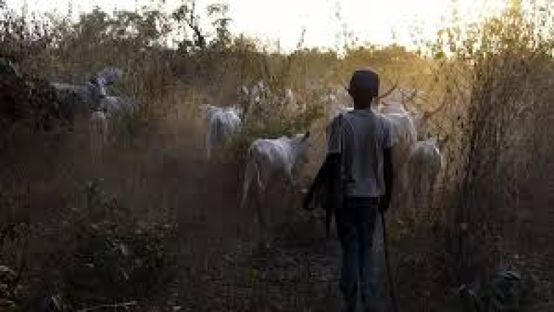 Two arrested over killing of herder in Kogi community