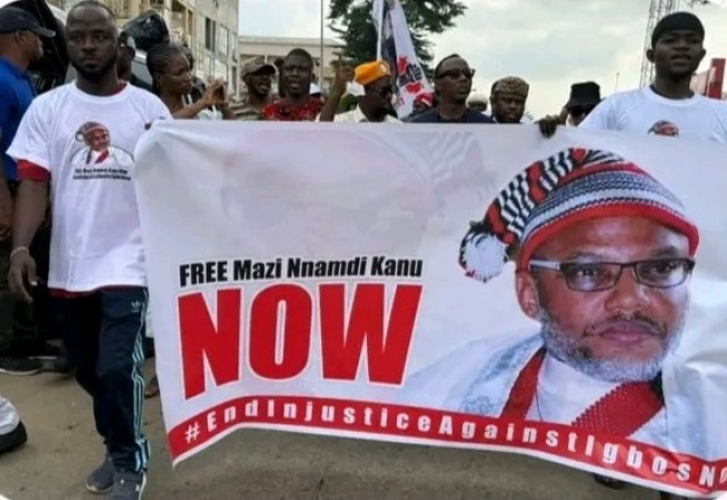 Free Kanu protest: Motion condemns attack on demonstrators in Abuja
