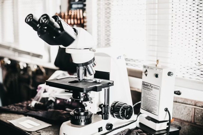 PE-22-28 Peptide: A Compact Molecule with Expansive Potential in Research